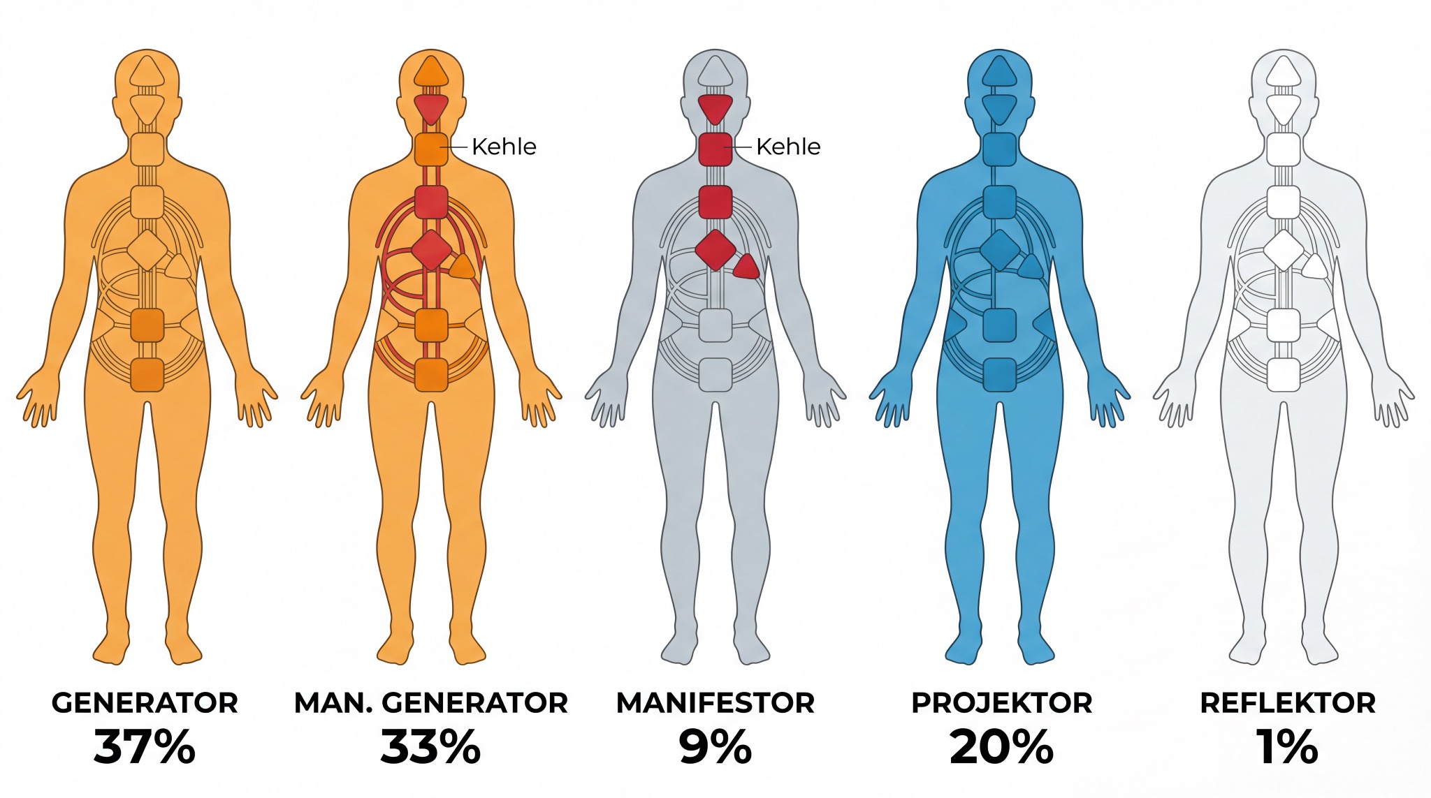 Übersicht der 5 Human Design Typen und ihre Häufigkeit: Generator, Manifestierender Generator, Manifestor, Projektor, Reflektor